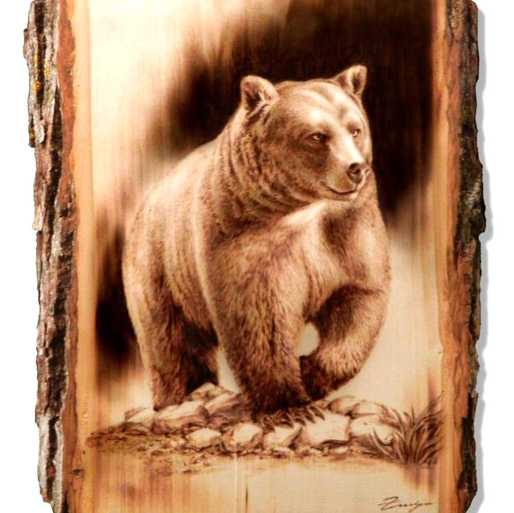 adult bear woodcut pyrography